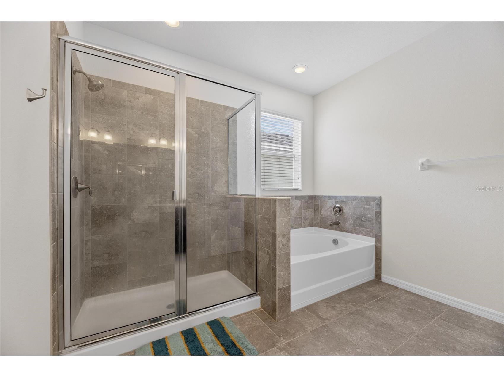 6309 Shadowlake Drive Apollo Beach FL 33572 TB8494022 image21