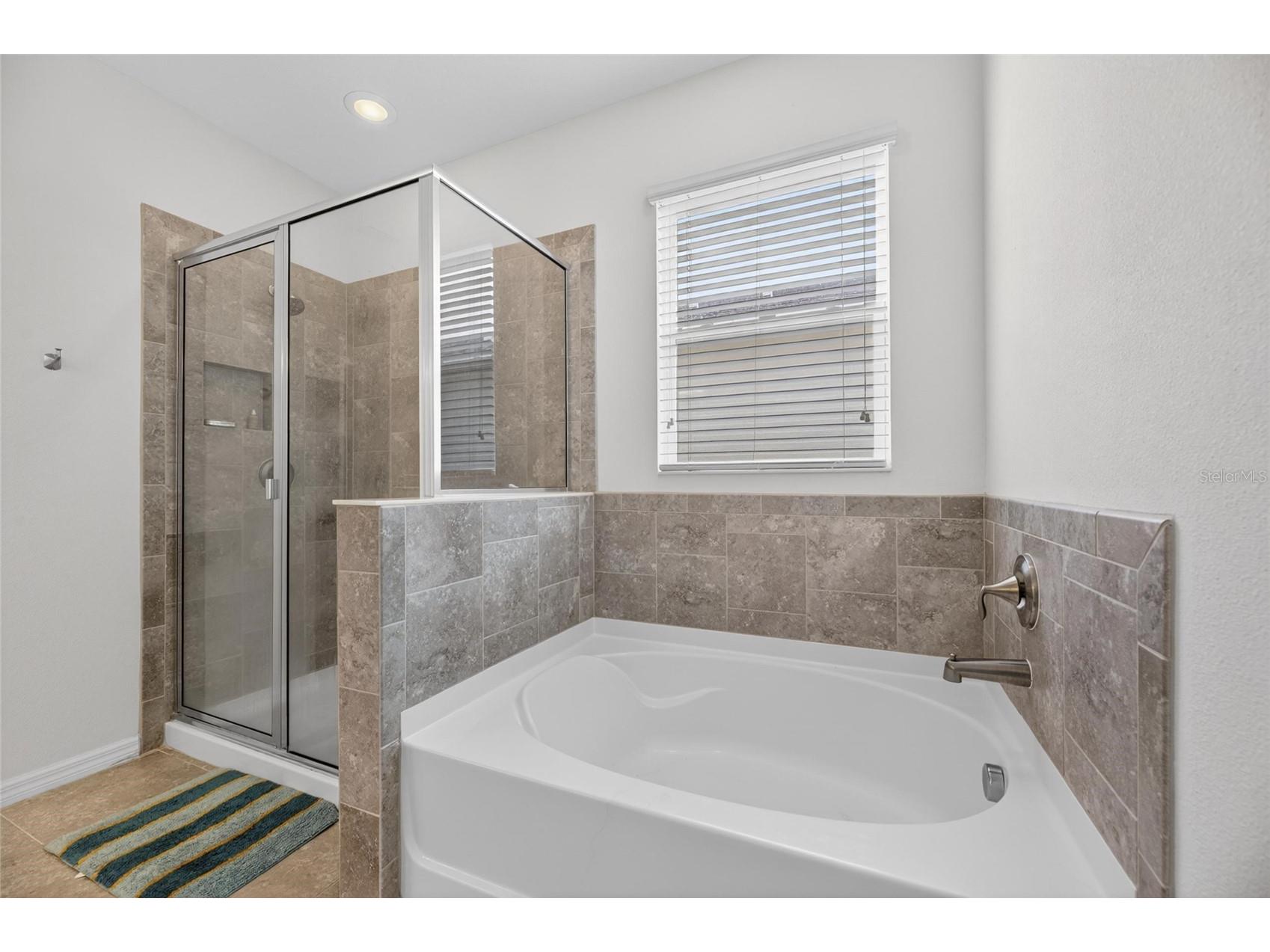 6309 Shadowlake Drive Apollo Beach FL 33572 TB8494022 image23