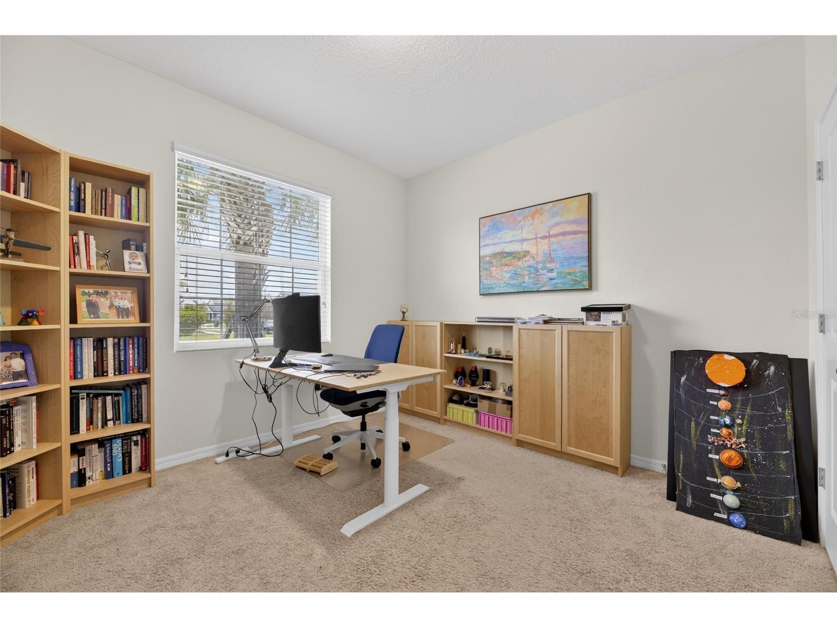 6309 Shadowlake Drive Apollo Beach FL 33572 TB8494022 image33
