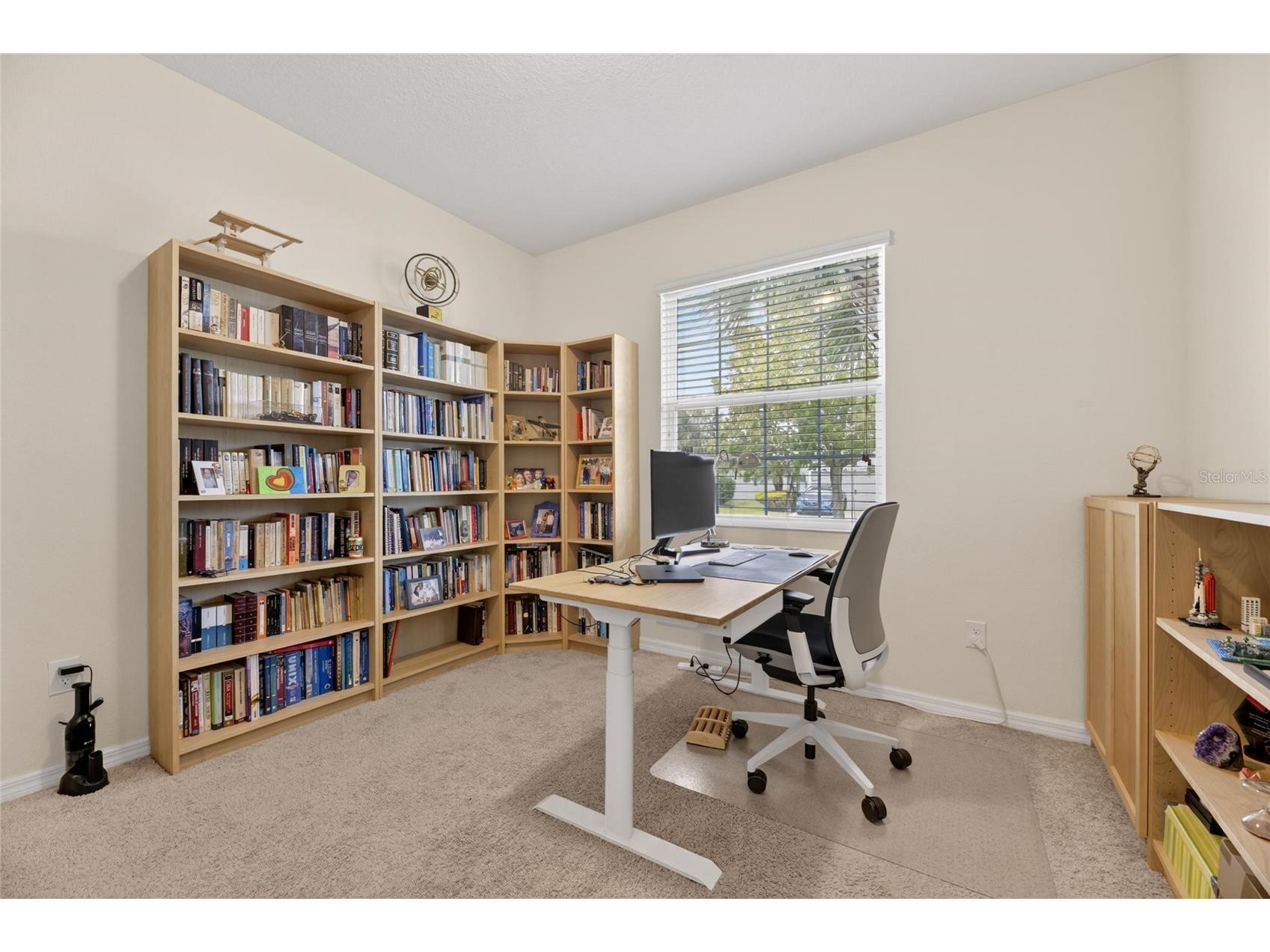 6309 Shadowlake Drive Apollo Beach FL 33572 TB8494022 image36