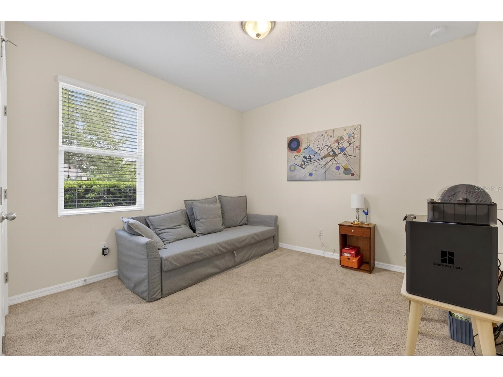 6309 Shadowlake Drive Apollo Beach FL 33572 TB8494022 image37