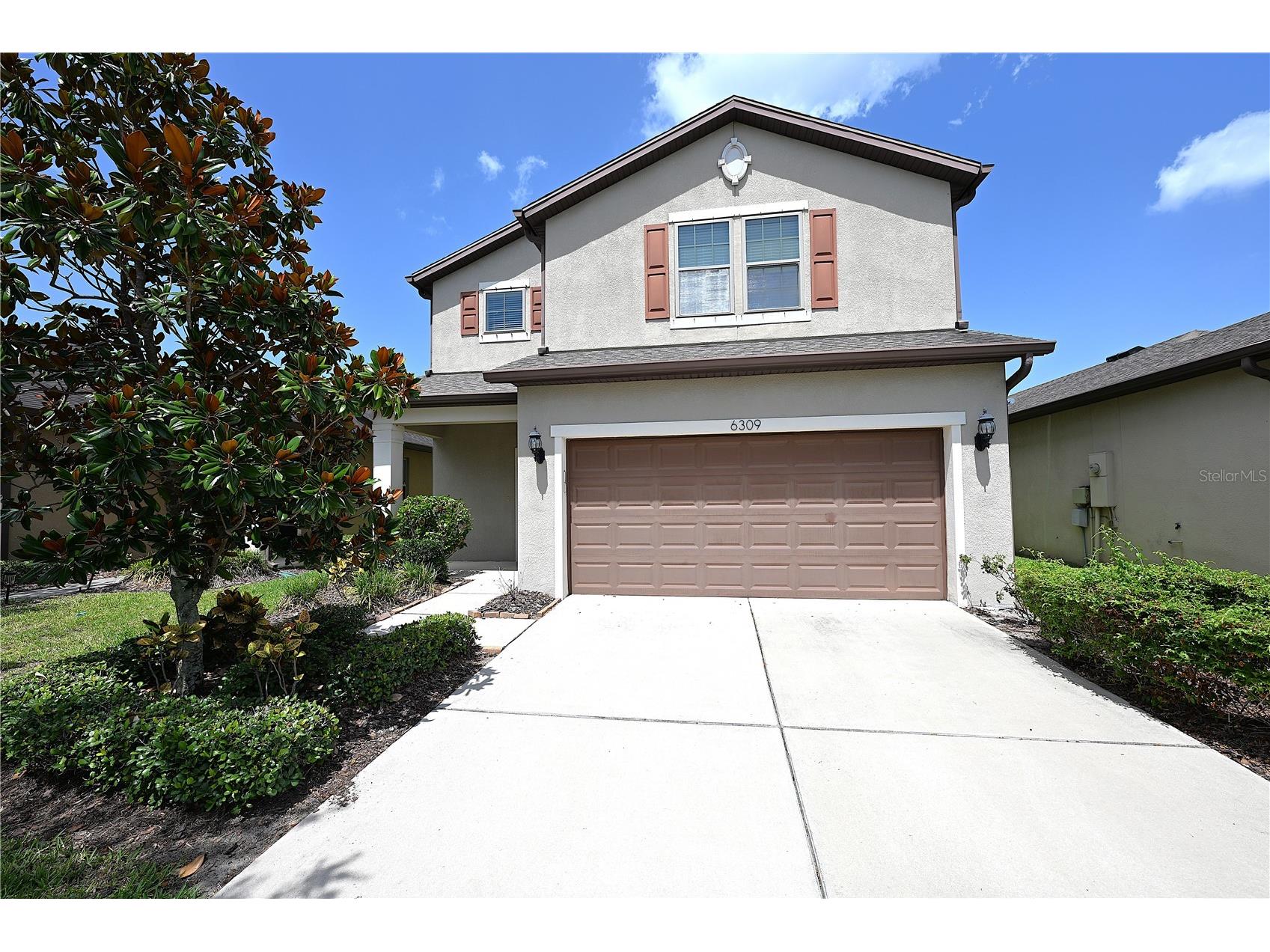 6309 Yellow Buckeye Drive Riverview FL 33578 L4963428 image1
