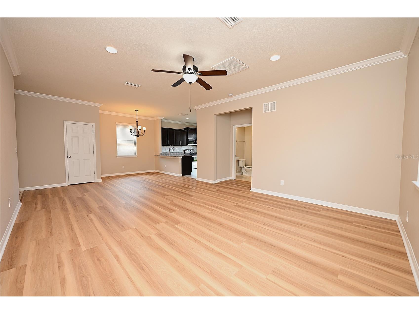 6309 Yellow Buckeye Drive Riverview FL 33578 L4963428 image14