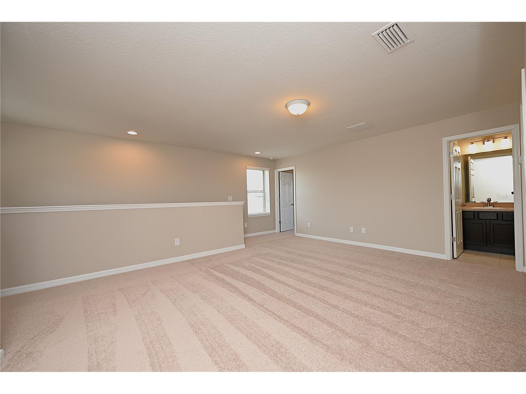 6309 Yellow Buckeye Drive Riverview FL 33578 L4963428 image25