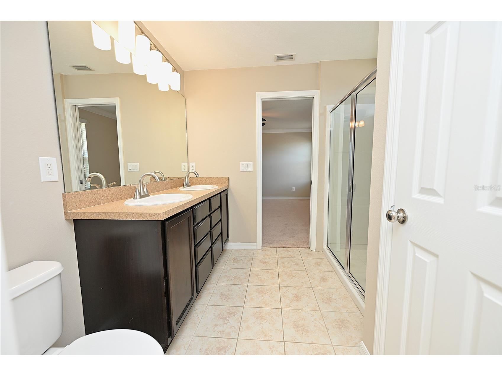 6309 Yellow Buckeye Drive Riverview FL 33578 L4963428 image30