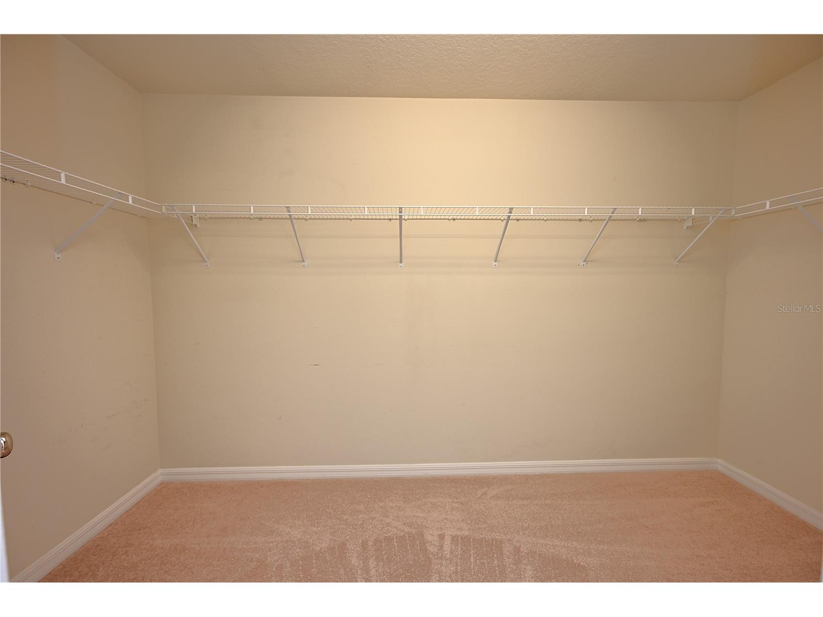 6309 Yellow Buckeye Drive Riverview FL 33578 L4963428 image32