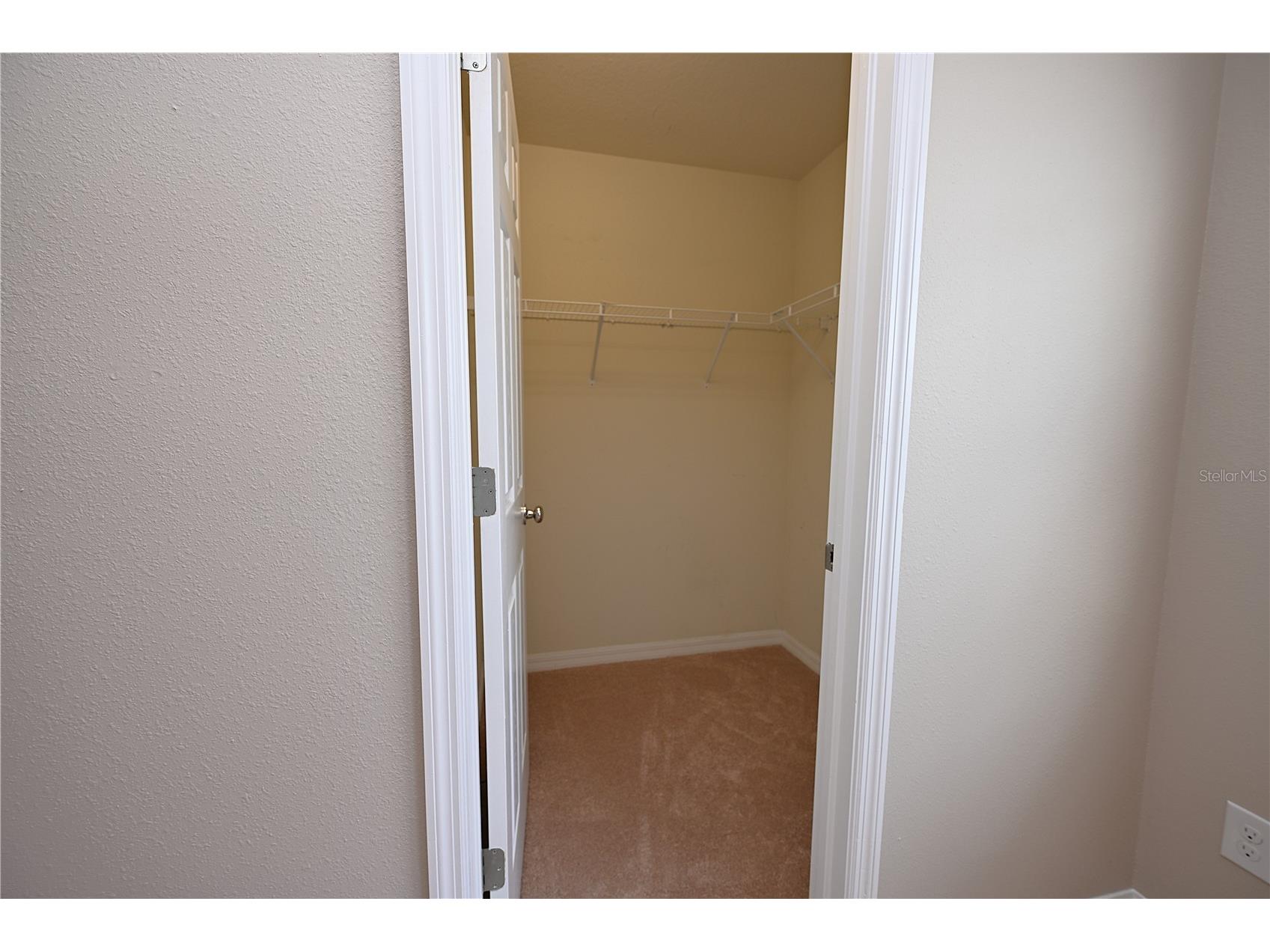 6309 Yellow Buckeye Drive Riverview FL 33578 L4963428 image39