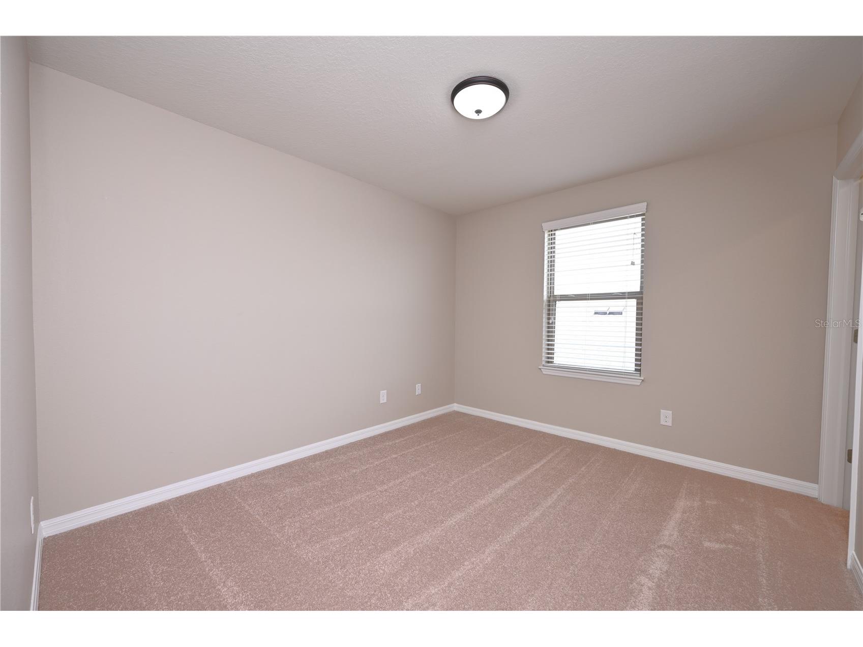 6309 Yellow Buckeye Drive Riverview FL 33578 L4963428 image41