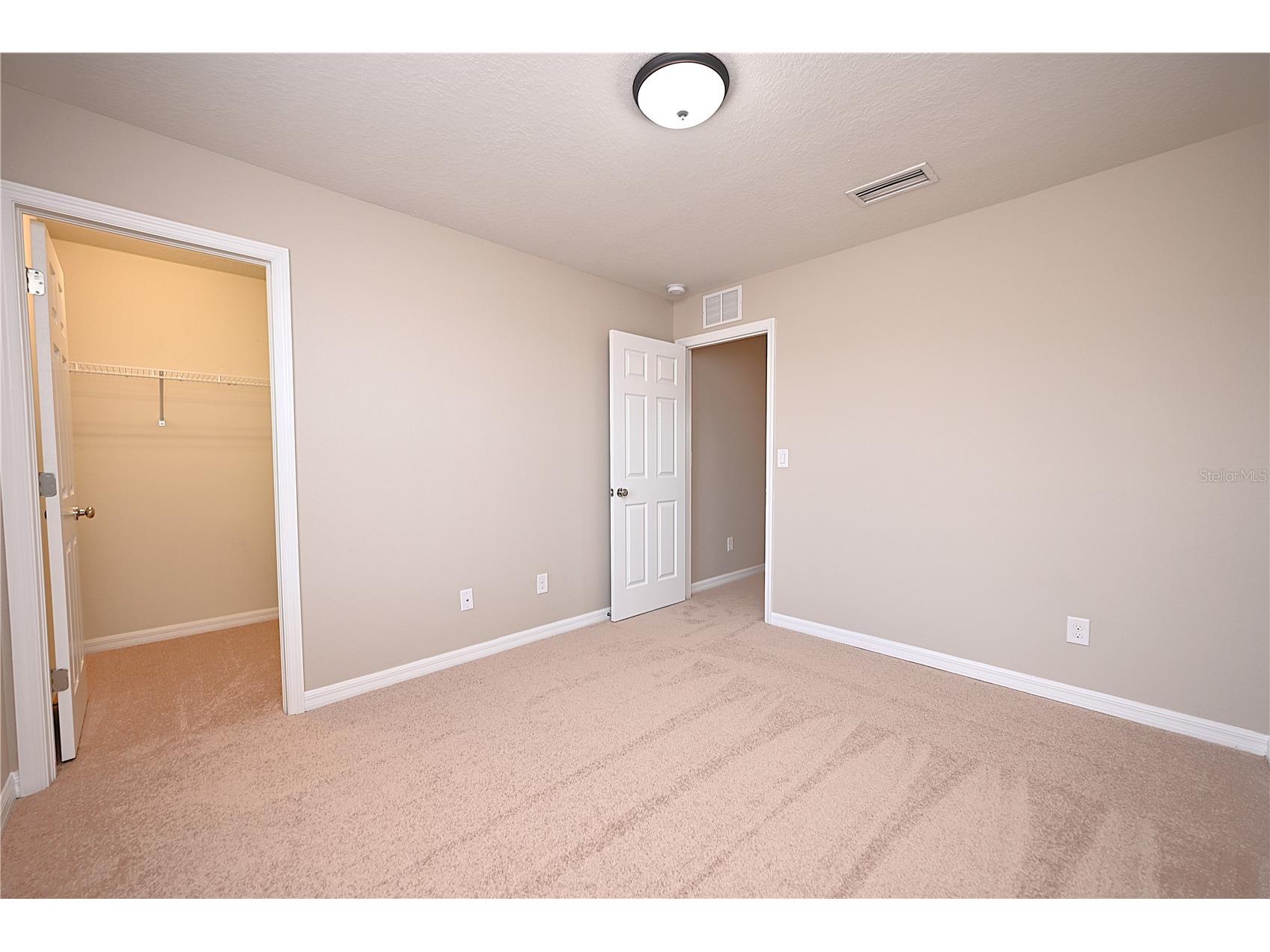 6309 Yellow Buckeye Drive Riverview FL 33578 L4963428 image42