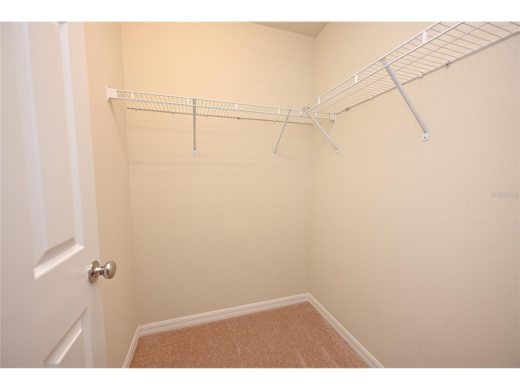 6309 Yellow Buckeye Drive Riverview FL 33578 L4963428 image43
