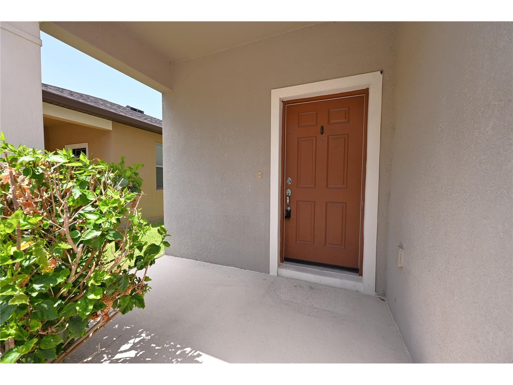 6309 Yellow Buckeye Drive Riverview FL 33578 L4963428 image48
