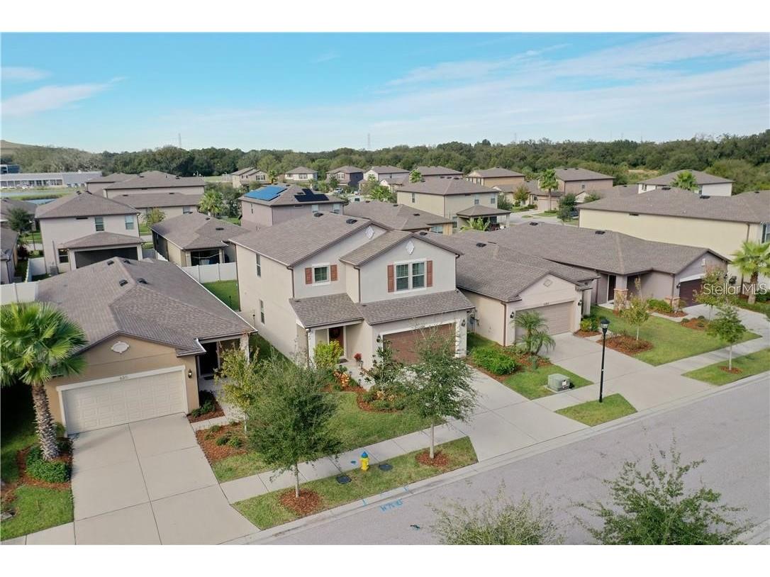 6309 Yellow Buckeye Drive Riverview FL 33578 L4963428 image55