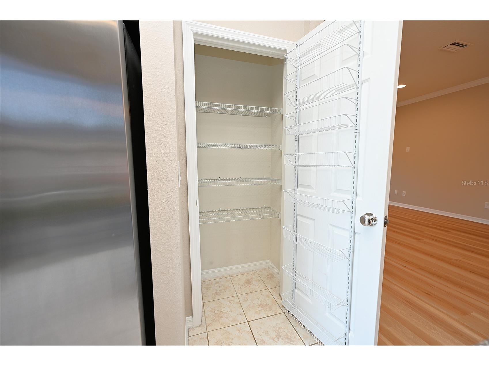 6309 Yellow Buckeye Drive Riverview FL 33578 L4963428 image7