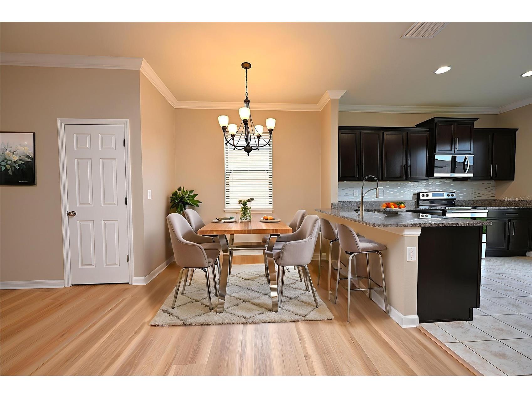 6309 Yellow Buckeye Drive Riverview FL 33578 L4963428 image8