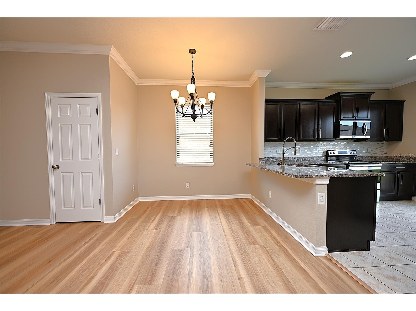 6309 Yellow Buckeye Drive Riverview FL 33578 L4963428 image9