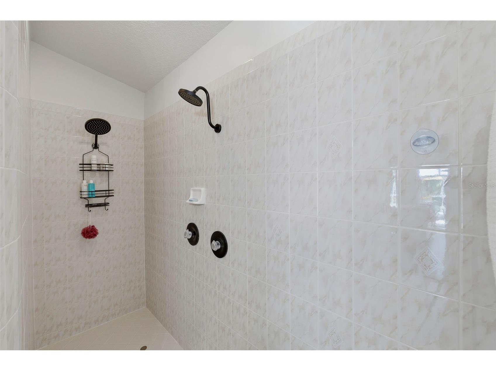 631 De Soto Drive Tierra Verde FL 33715 TB8511025 image46