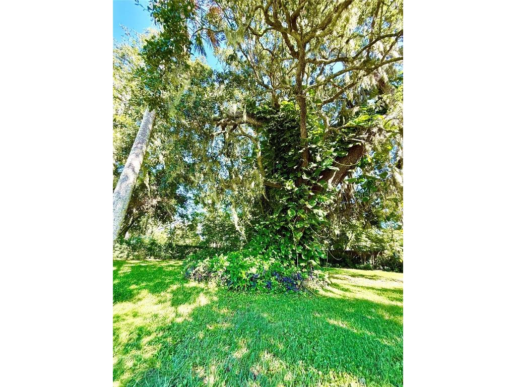 631 Elm Avenue Holly Hill FL 32117 NS1085774 image23