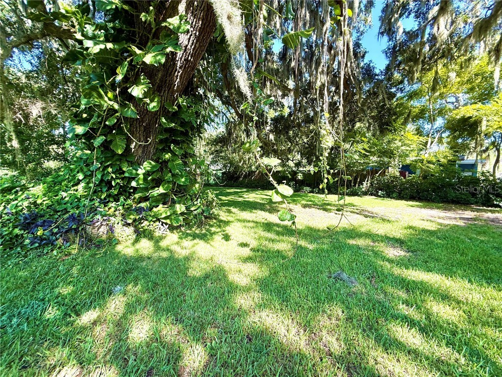 631 Elm Avenue Holly Hill FL 32117 NS1085774 image24