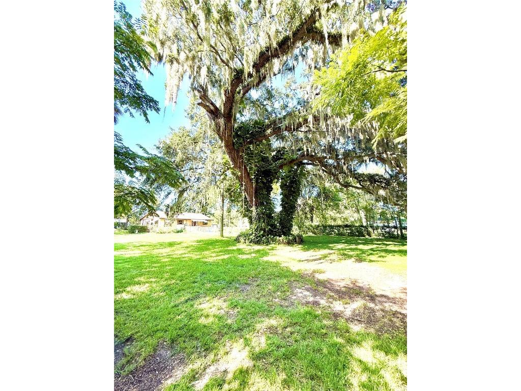 631 Elm Avenue Holly Hill FL 32117 NS1085774 image26