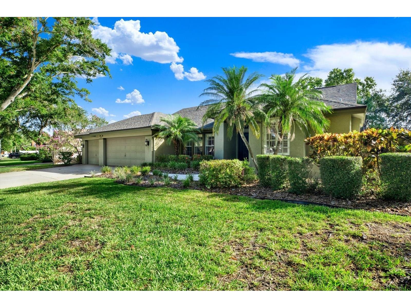 631 House Wren Circle Palm Harbor FL 34683 TB8520537 image2