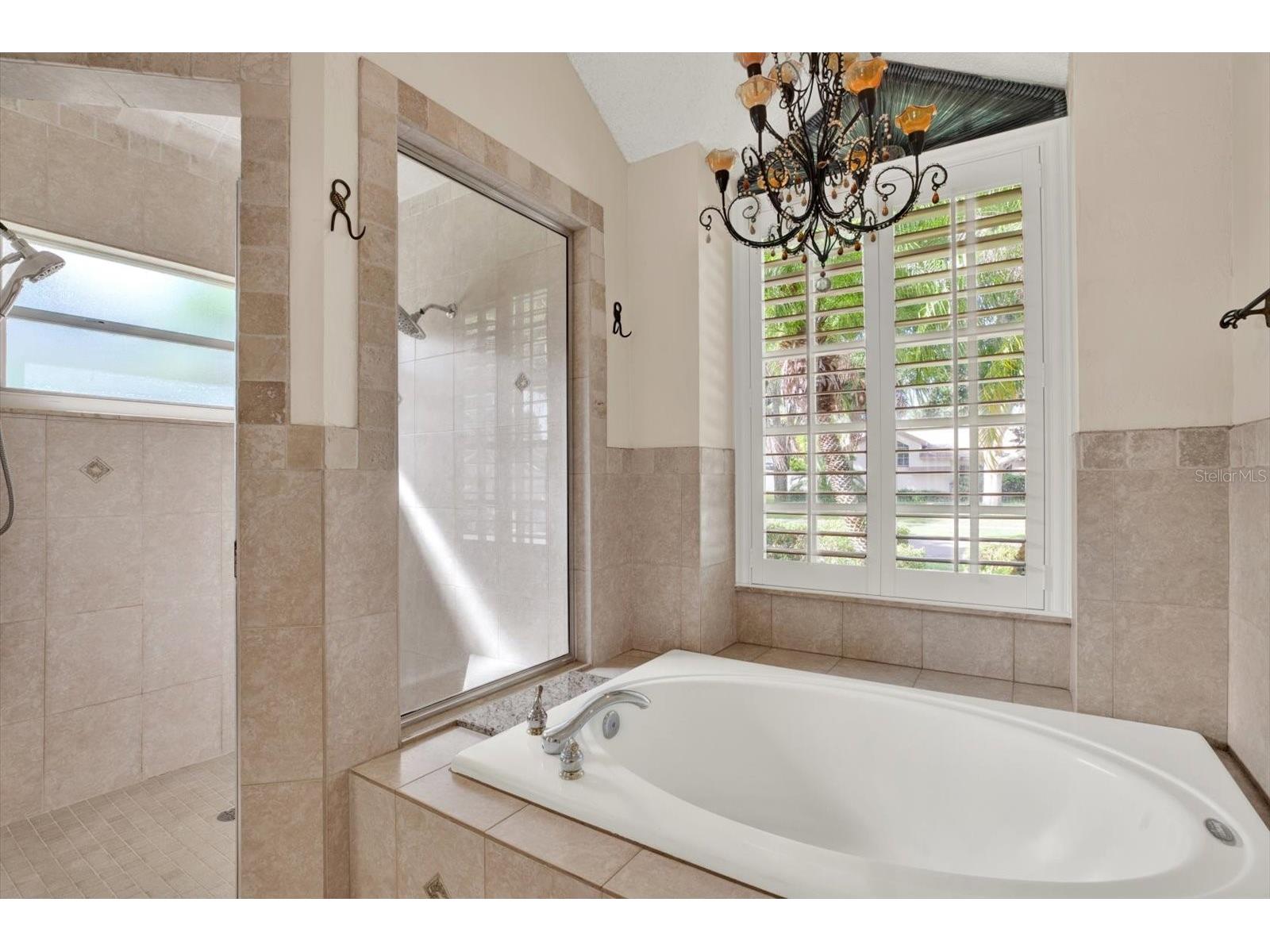 631 House Wren Circle Palm Harbor FL 34683 TB8520537 image20