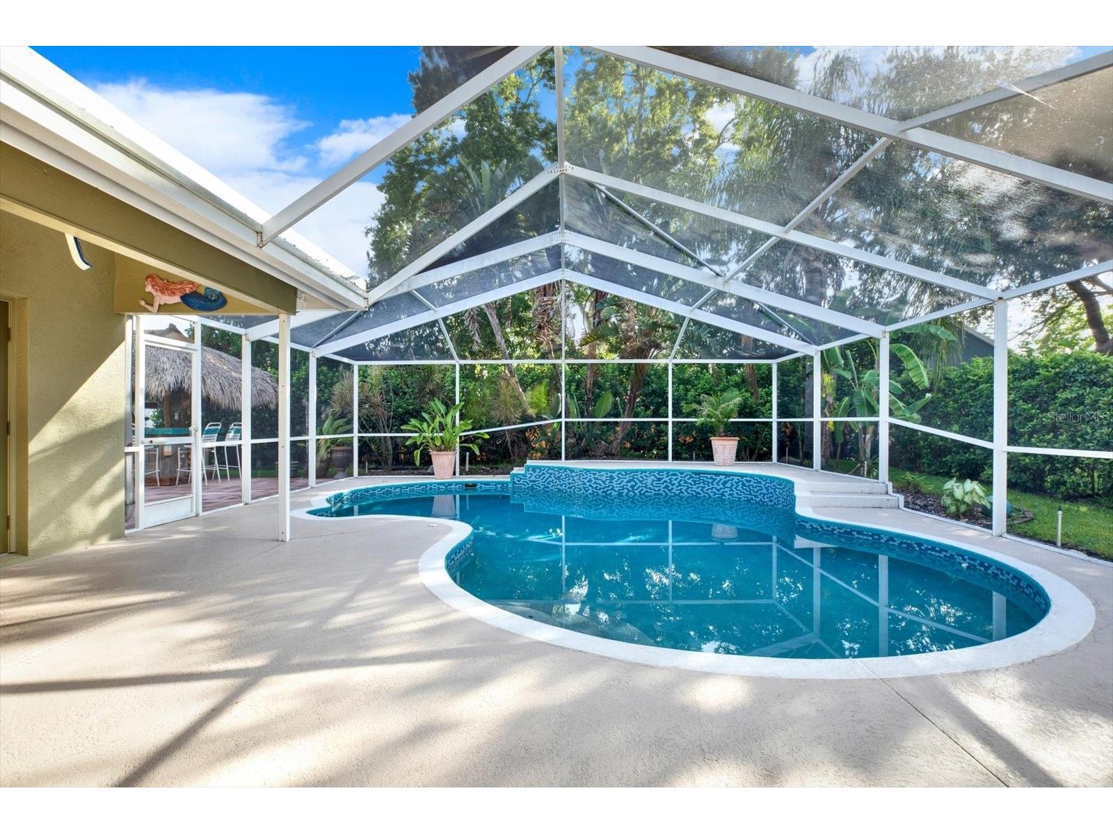 631 House Wren Circle Palm Harbor FL 34683 TB8520537 image29