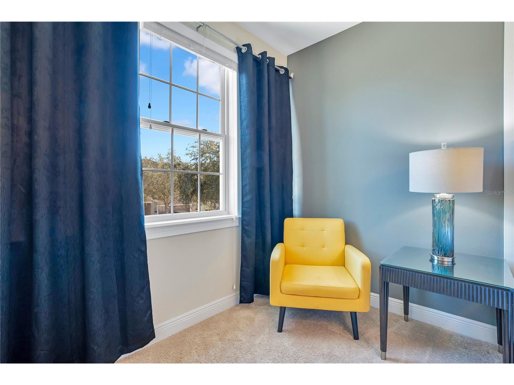 631 Lasso Drive Kissimmee FL 34747 O6382195 image43