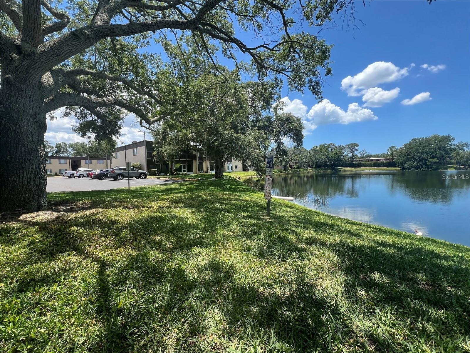 631 N Keene Road #S8 Clearwater FL 33755 TB8471313 image21