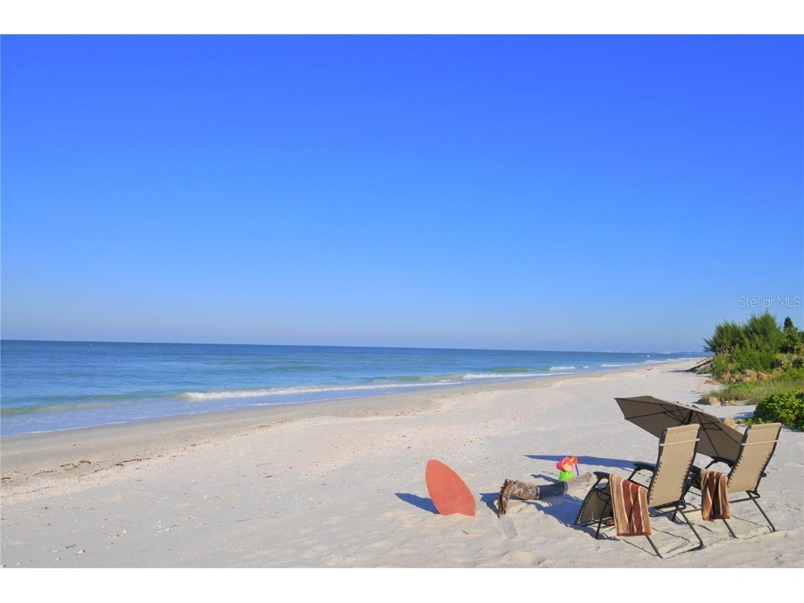 631 N Orange Avenue #107 Sarasota FL 34236 A4659021 image39