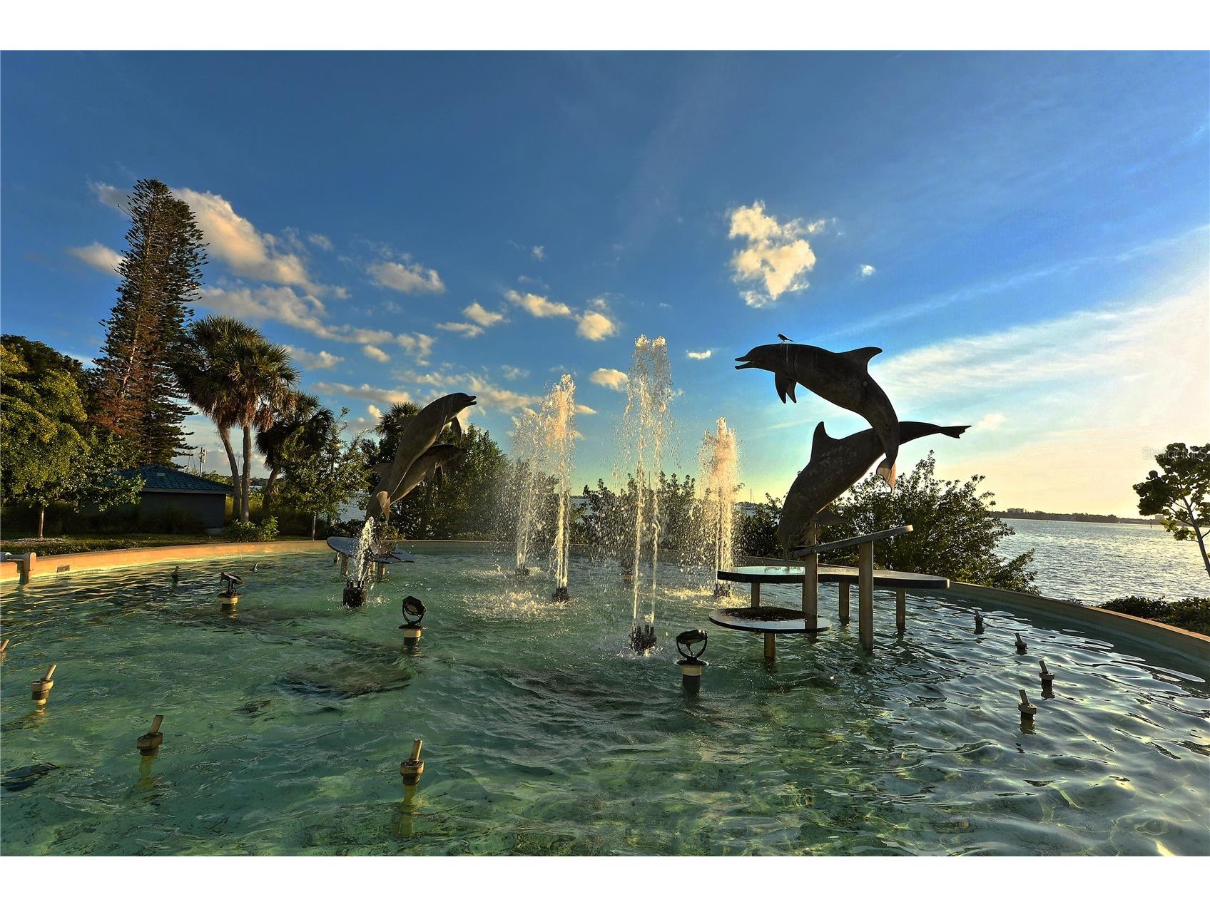 631 N Orange Avenue #208 Sarasota FL 34236 A4671326 image37