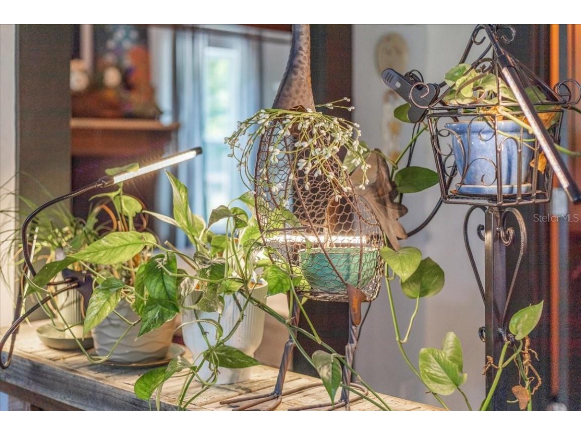 631 NW 172nd Lane Trenton FL 32693 GC532597 image5