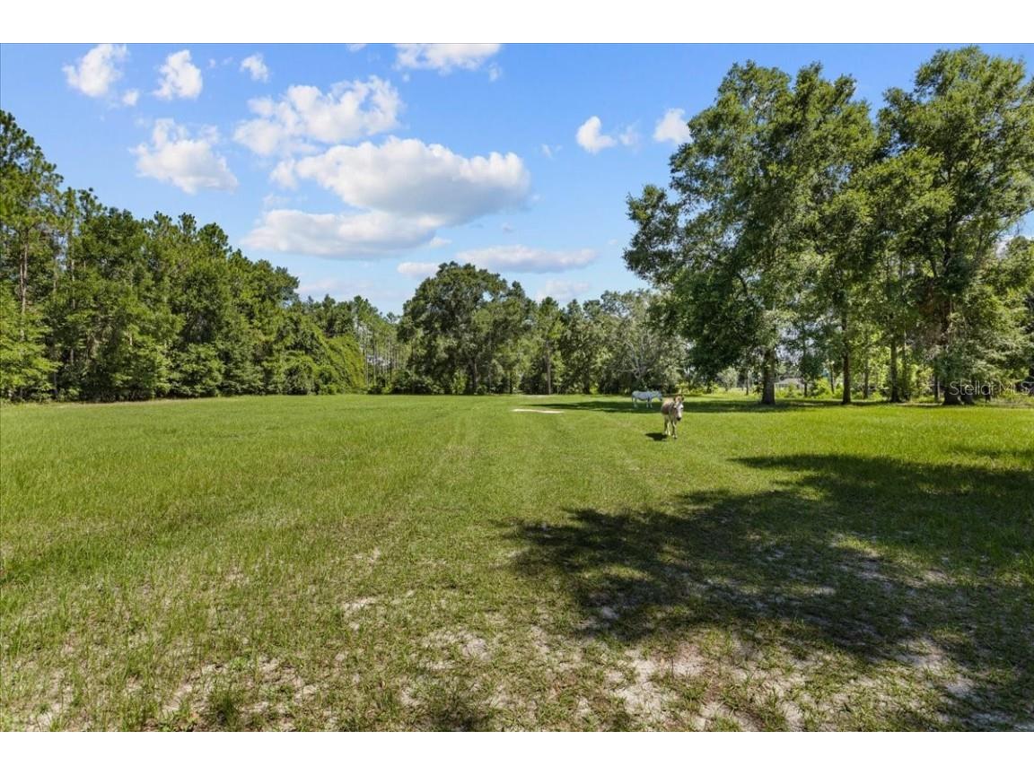 631 NW 172nd Lane Trenton FL 32693 GC532597 image75