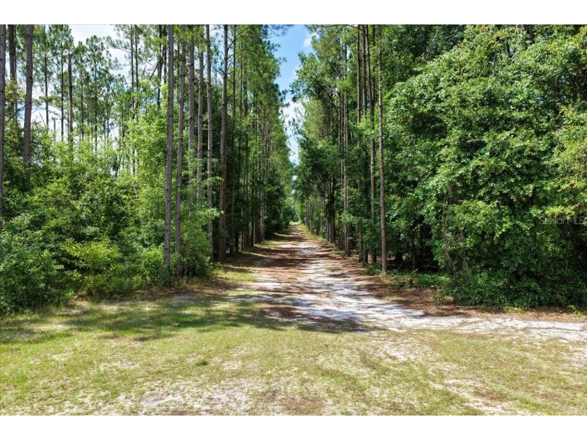 631 NW 172nd Lane Trenton FL 32693 GC532597 image82