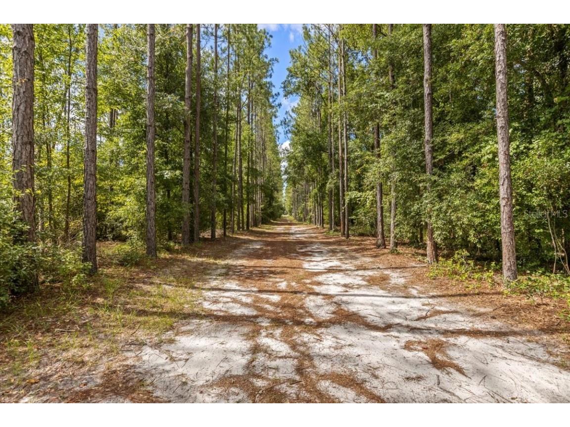 631 NW 172nd Lane Trenton FL 32693 GC532597 image83