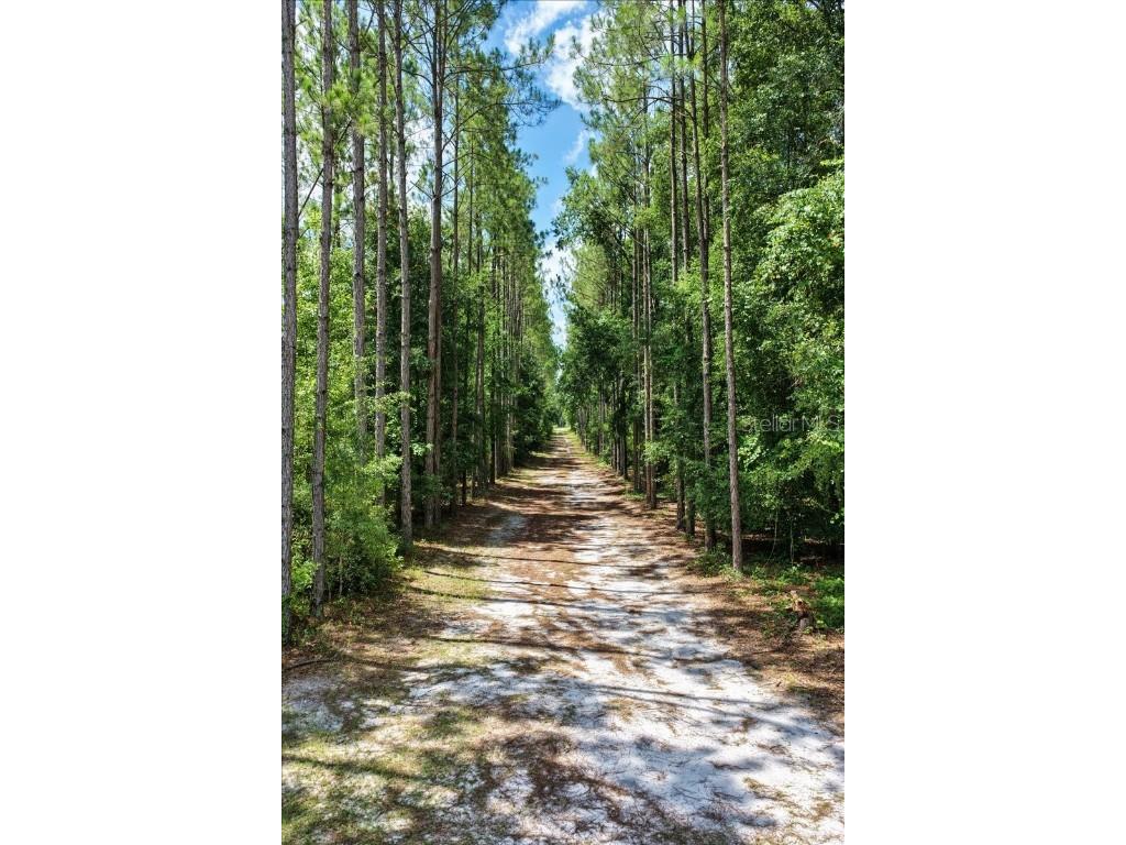 631 NW 172nd Lane Trenton FL 32693 GC532597 image84