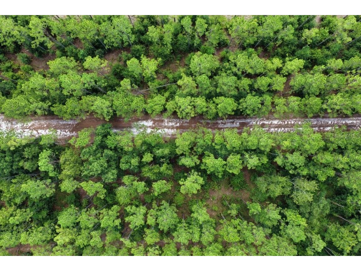 631 NW 172nd Lane Trenton FL 32693 GC532597 image87