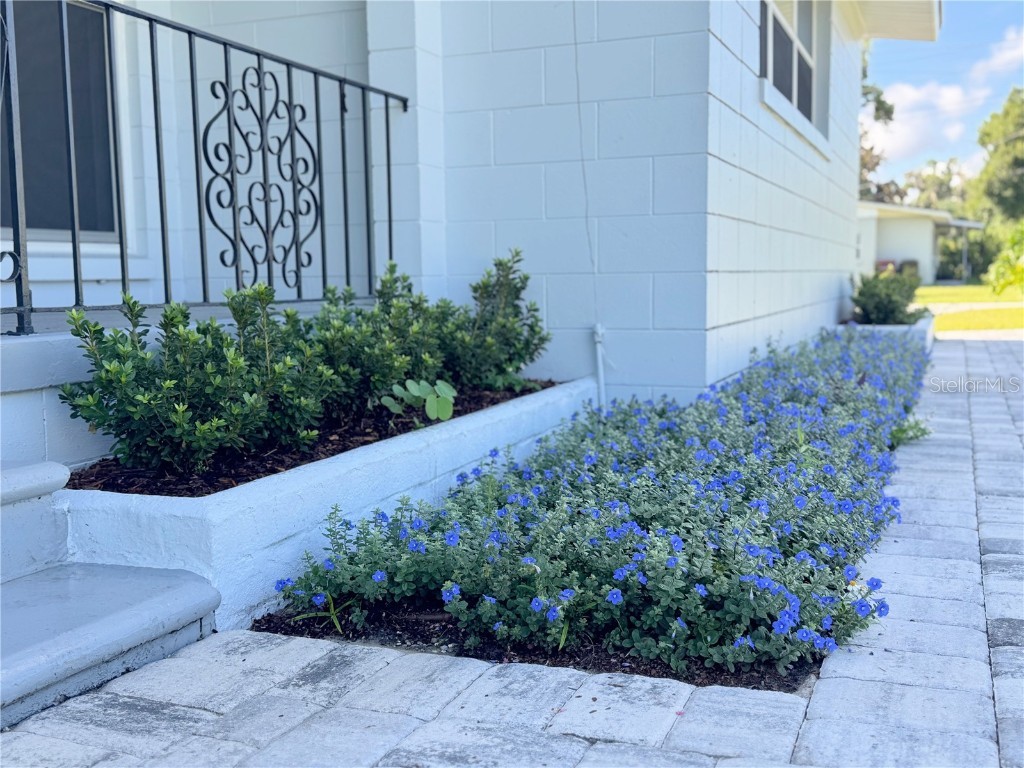 631 S Crystal Lake Drive Orlando FL 32803 O6359740 image5