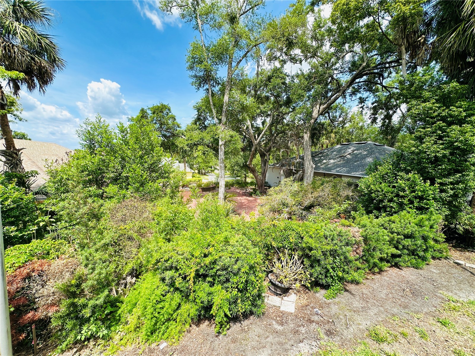 631 Sand Lake Court Mount Dora FL 32757 - LAKE DORA/ HARRIS CHAIN G5111931 image19