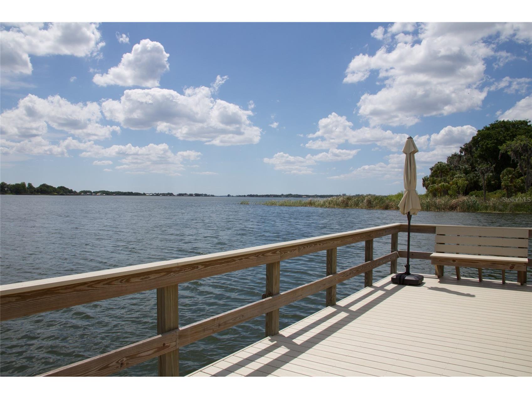 631 Sand Lake Court Mount Dora FL 32757 - LAKE DORA/ HARRIS CHAIN G5111931 image22