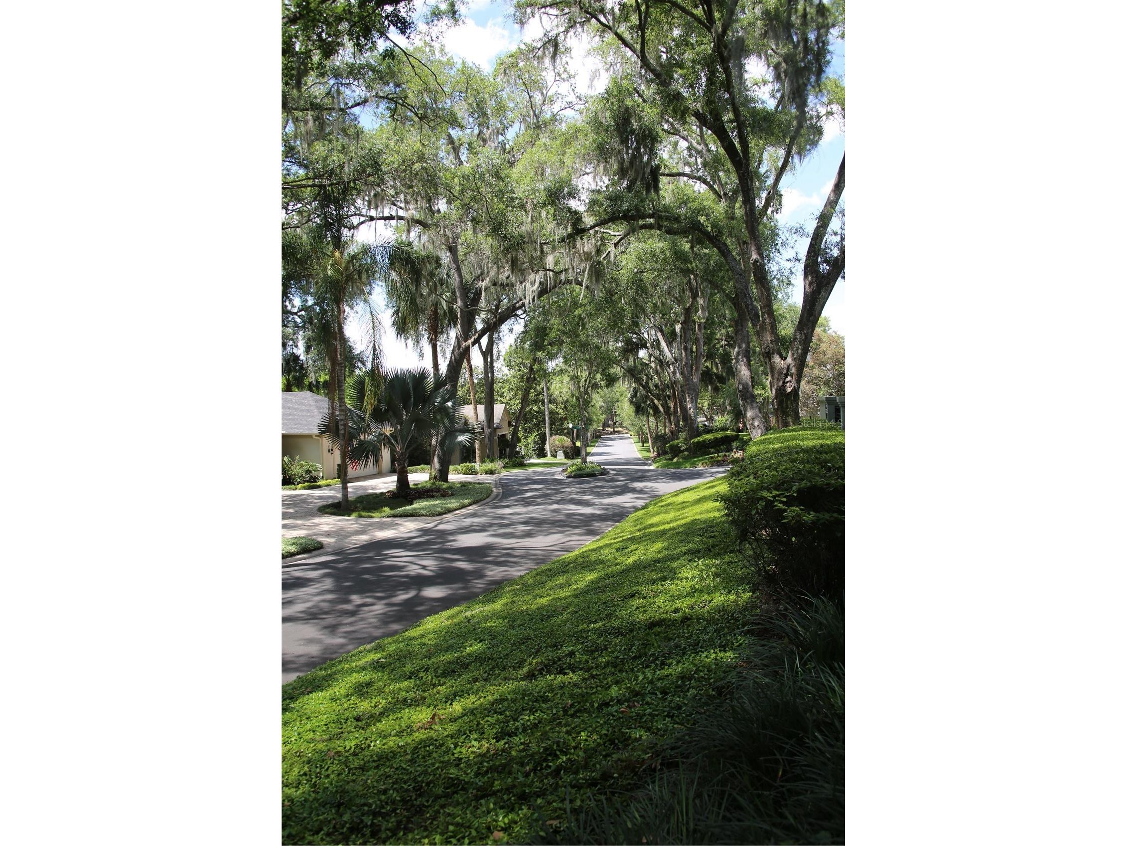 631 Sand Lake Court Mount Dora FL 32757 - LAKE DORA/ HARRIS CHAIN G5111931 image28