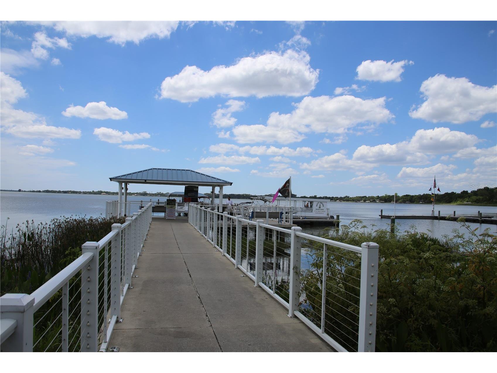 631 Sand Lake Court Mount Dora FL 32757 - LAKE DORA/ HARRIS CHAIN G5111931 image29