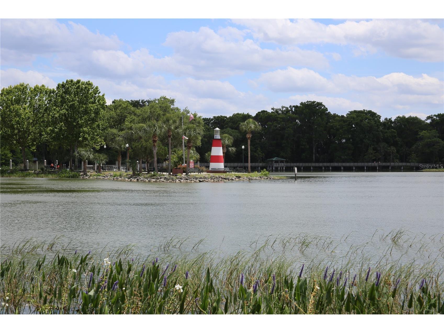 631 Sand Lake Court Mount Dora FL 32757 - LAKE DORA/ HARRIS CHAIN G5111931 image31