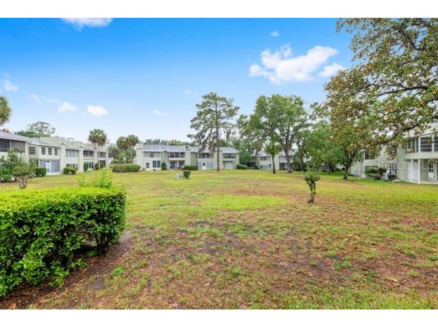 631 Silver Pass #A Ocala FL 34472 OM724700 image43