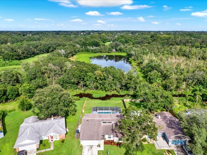 631 Stillview Circle Brandon FL 33510 - LAKE MANGO TB8419862 image1