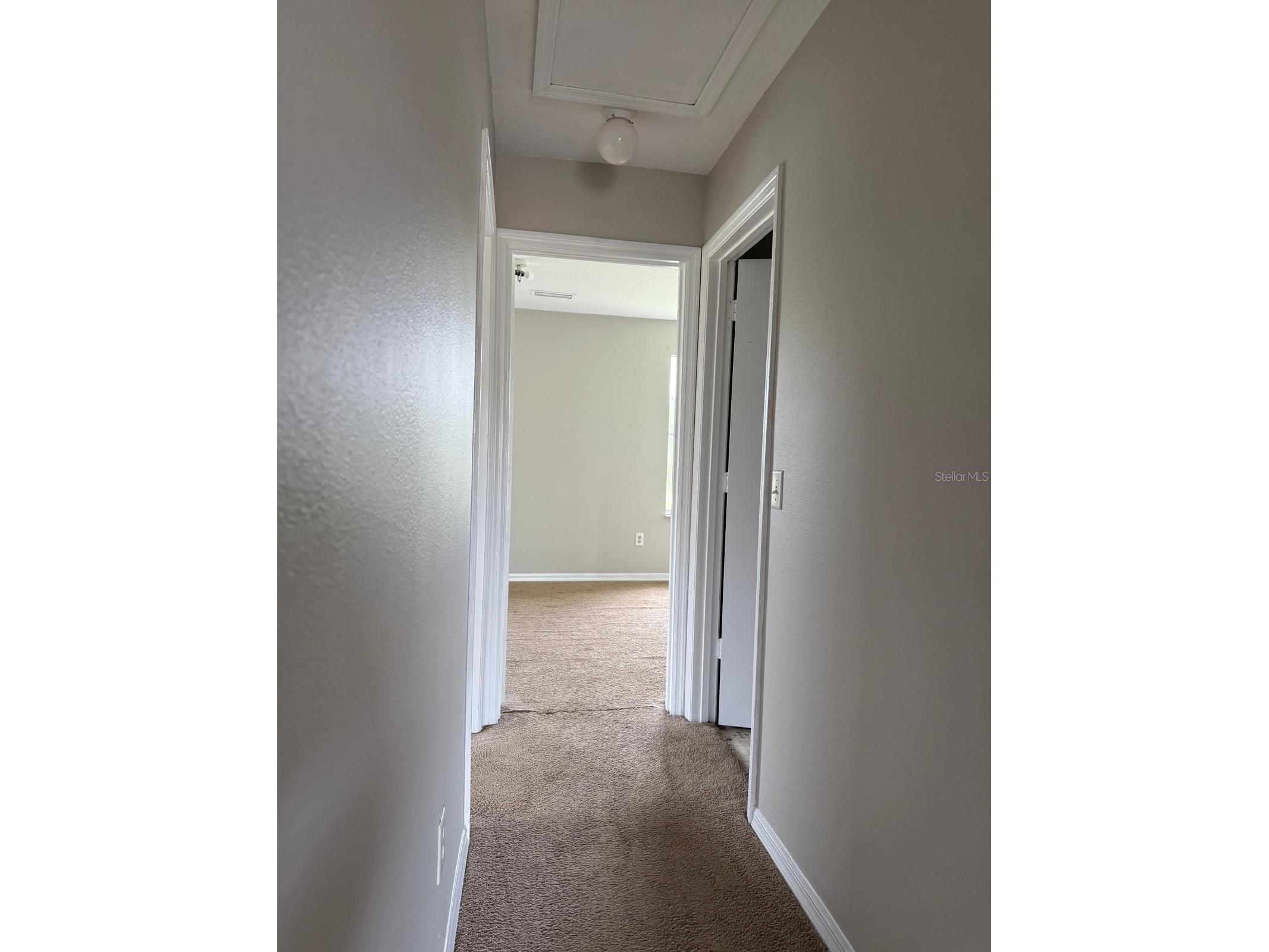 631 Washington Palm Loop Davenport FL 33897 O6393949 image10