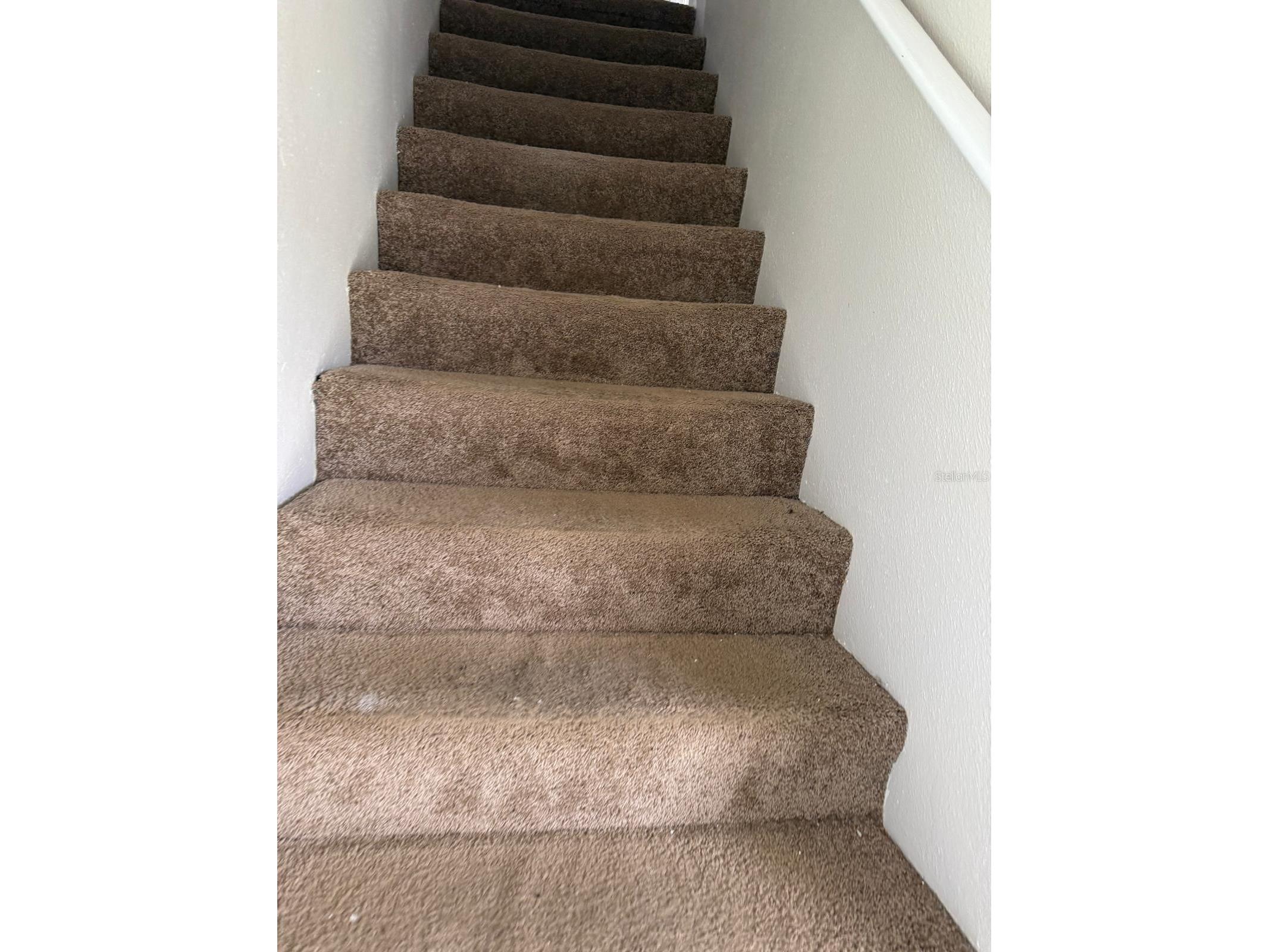 631 Washington Palm Loop Davenport FL 33897 O6393949 image8