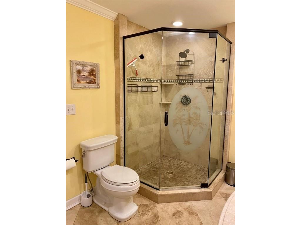 6310 Cocoa Lane Apollo Beach FL 33572 - TAMPA BAY TB8427541 image13