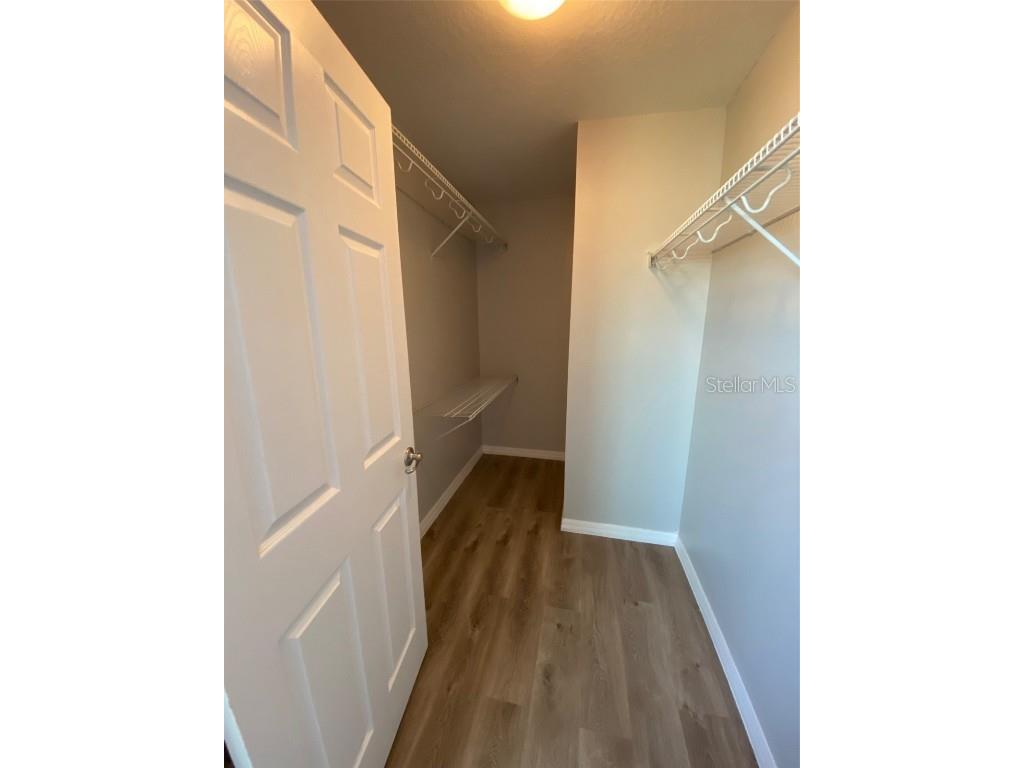 6310 Golden Dewdrop Trail Windermere FL 34786 O6368983 image15
