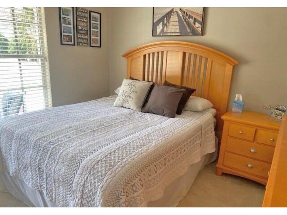 6310 Ocean Pines Lane Spring Hill FL 34606 TB8456562 image11