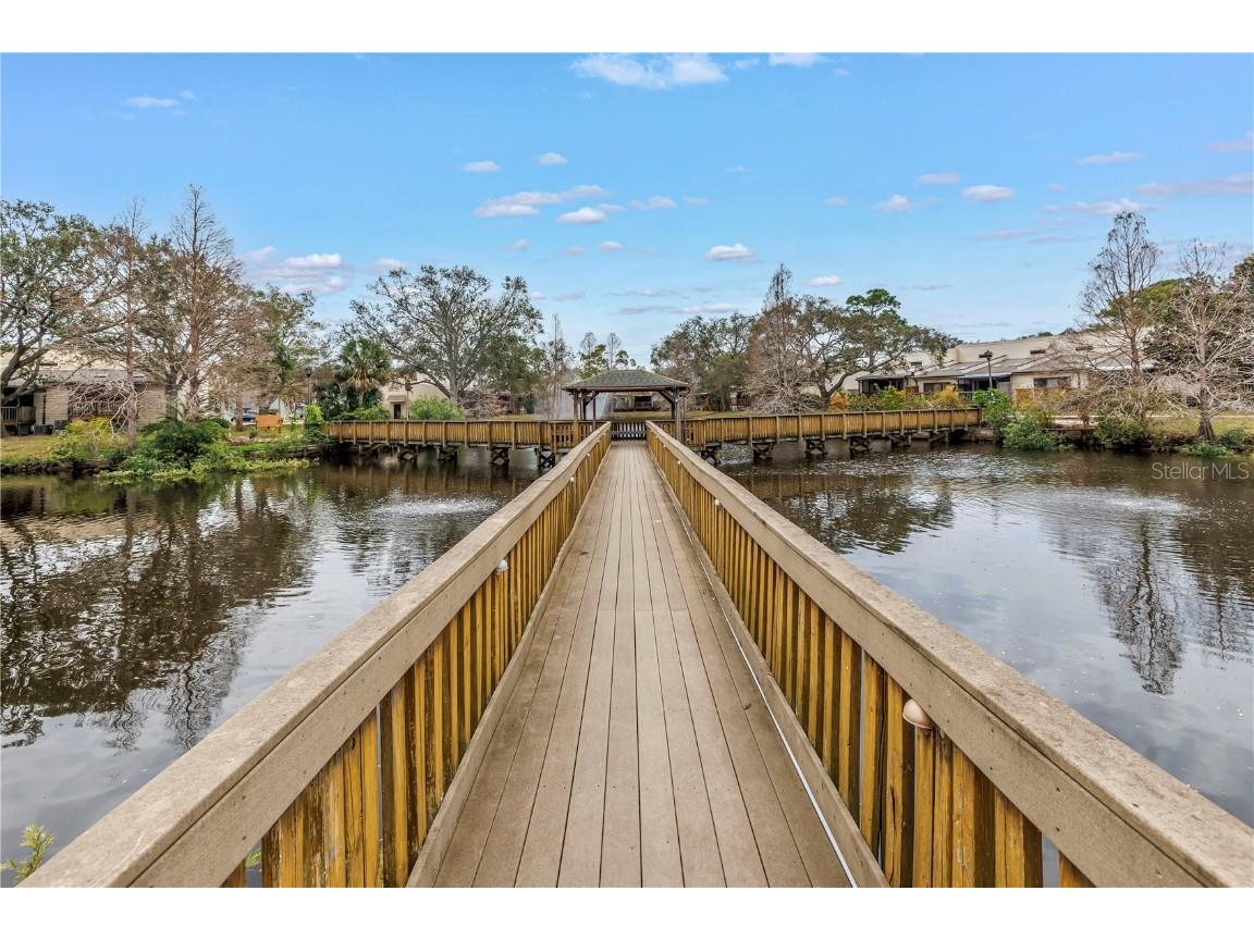 6311 93rd Terrace N #4403 Pinellas Park FL 33782 TB8352888 image18